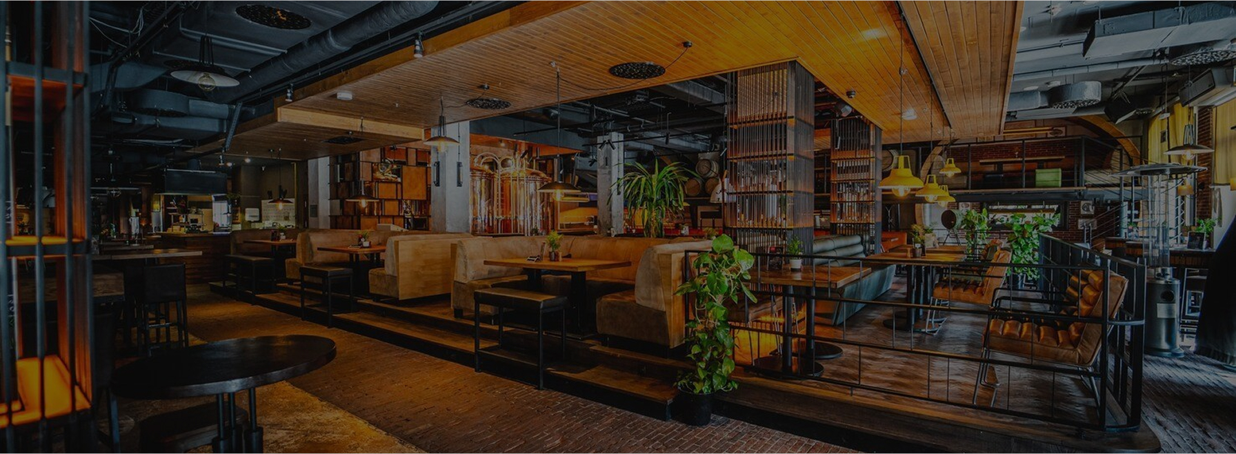 Hotel Bristol - strona internetowa