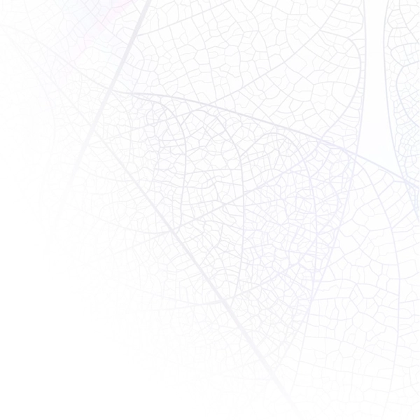 strona dr Łukasz Paluch