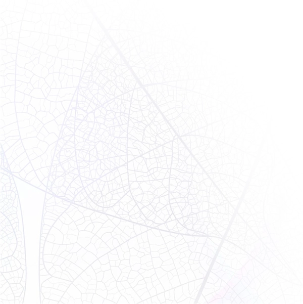 strona dr Łukasz Paluch