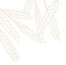 strona stary browar rzeszowski