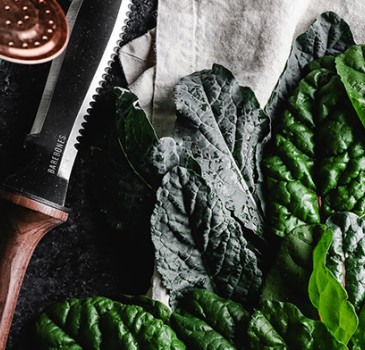 Efektywność SEO w branży ogrodniczej - przekształcanie strony w narzędzie sprzedaży