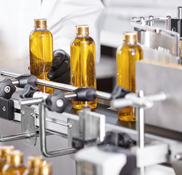 Wzrost ruchu na stronie producenta żywności dzięki SEO