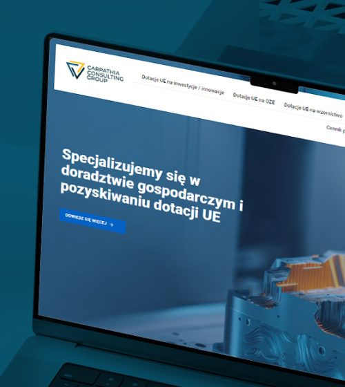 Realizacja strony www dla firmy usługowej Carpathia
